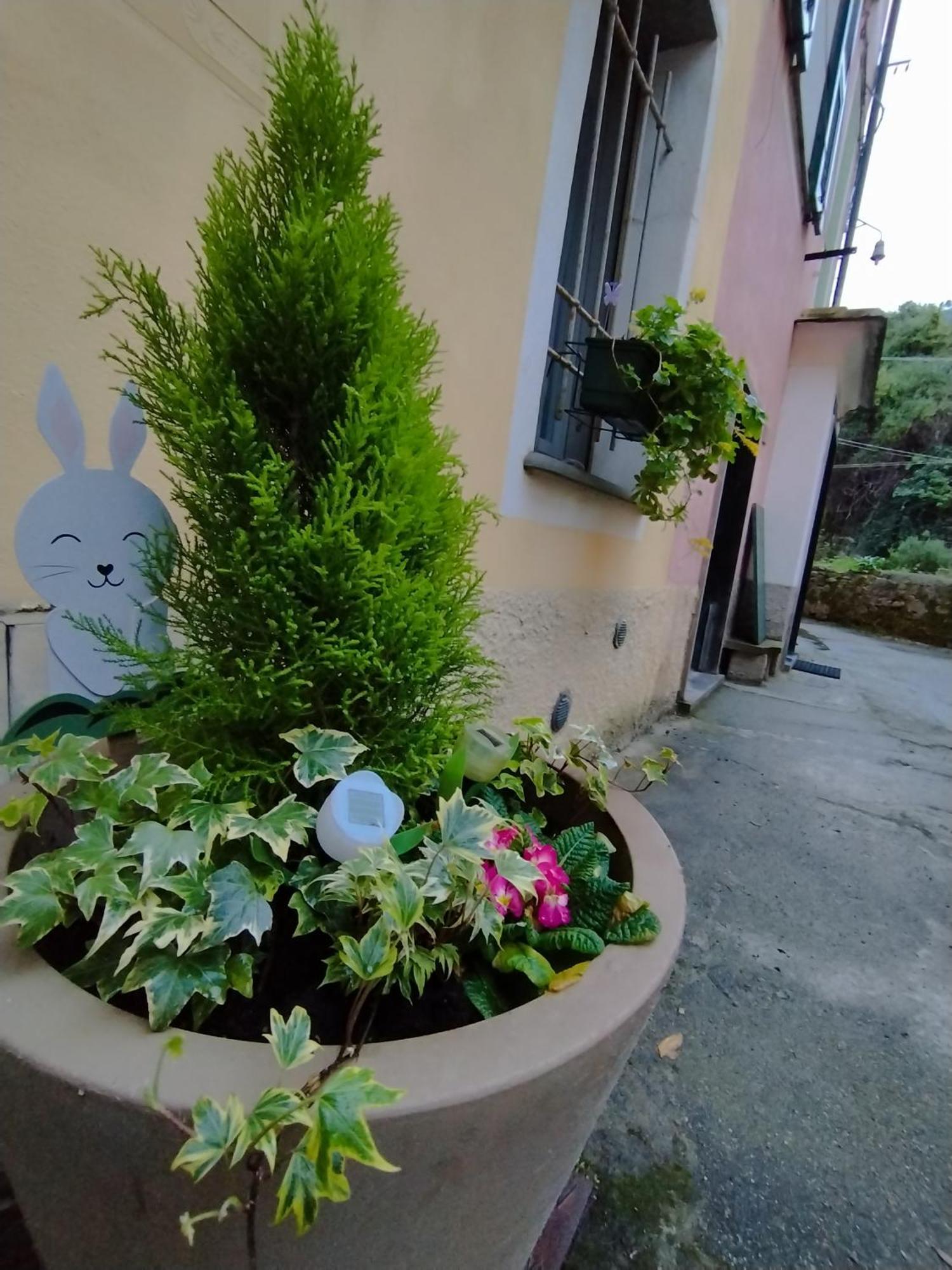 Nido Al Mare Apartment Bonassola Exterior photo